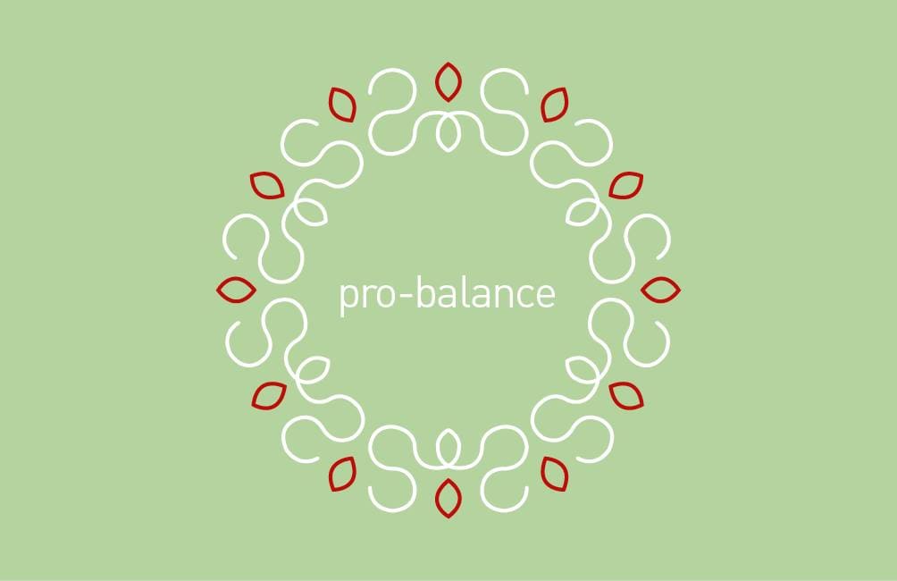 Logo probalanceborschel.com