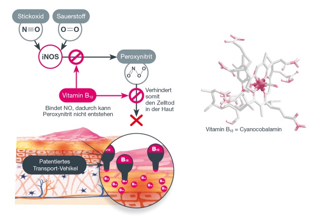 Bild gesunde Haut und Haut mit Neurodermitis