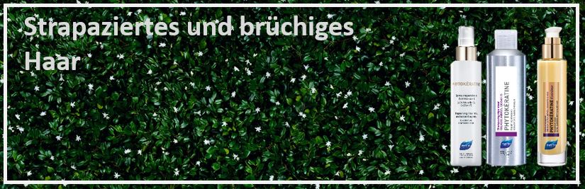 Phyto strapaziertes Haar Banner