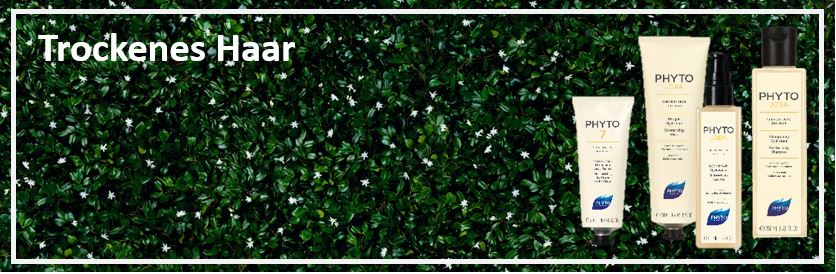 Phyto trockenes Haar Banner