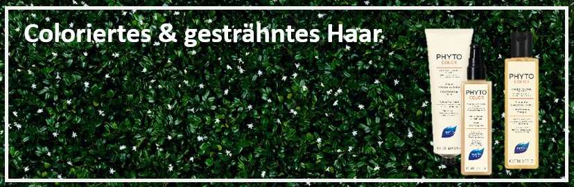 Phyto Coloriertes Haar Banner