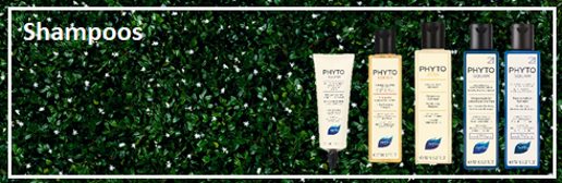 Phyto Shampoo Banner