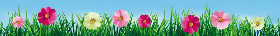 blumen