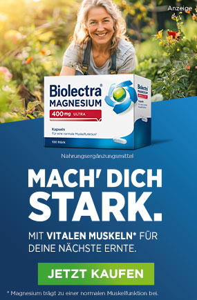 Biolectra Magnesium 400 mg Kapseln