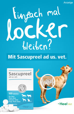 Sascupreel ad us vet Tabletten ist ein homöopathisches Arzneimittel für Tiere