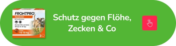 Tierapotheke Zeckenschutz