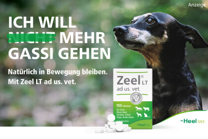 Zeel LT ad us. vet. Tabletten