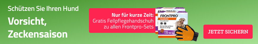Kategorie Hunde - Floehe und Zecken