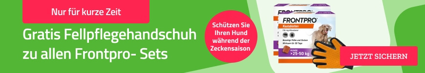 Kategorie Hunde - Floehe und Zecken