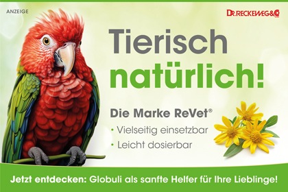 Fellpflegeprodukte für Hunde