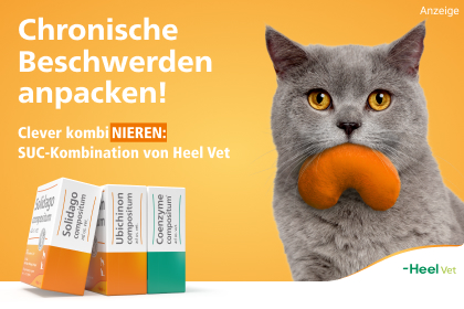 Homöopathisches Tierarzneimittel-Set