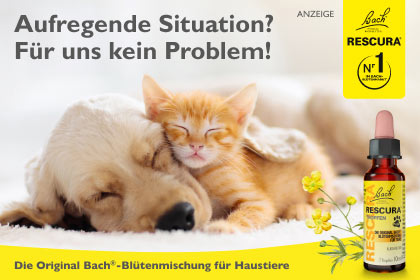 Bachblüten Rescura Pets Tropfen von Nelsons