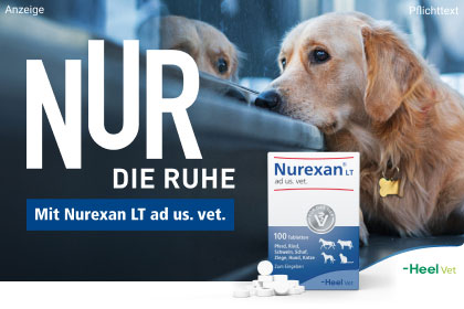 Nurexan LT ad us. vet. Tabletten