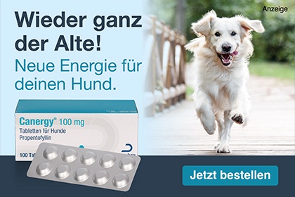 Fellpflegeprodukte für Hunde