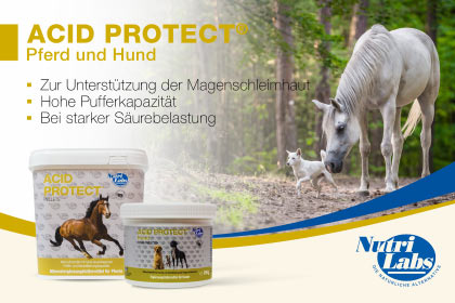Acid protect Kautabletten für Hund und Pferd