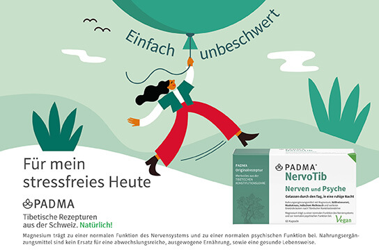 Padma Nervotib Kapseln