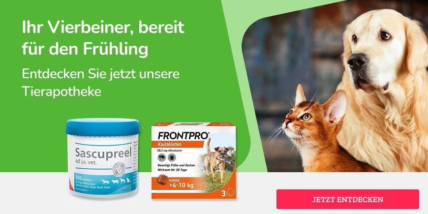 Ihr Vierbeiner, bereit für den Frühling