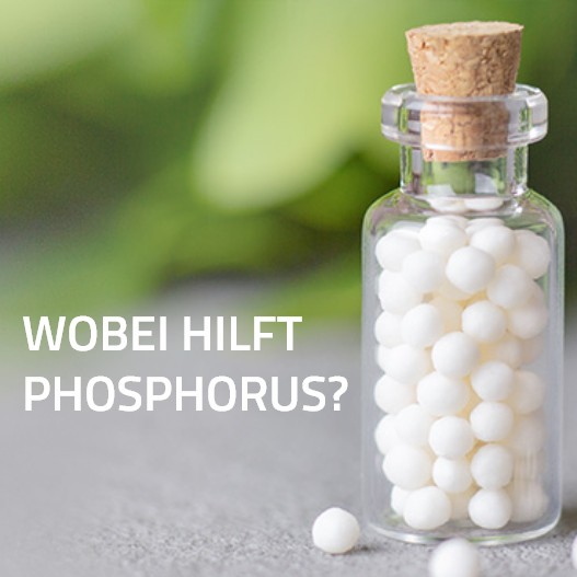 Phosphorus -  Gelber Phosphor zur chronischen Behandlung