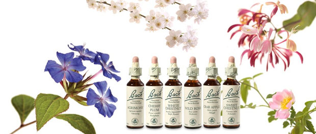 Blüten für die Seele